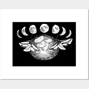 moon moth mushroom Posters and Art